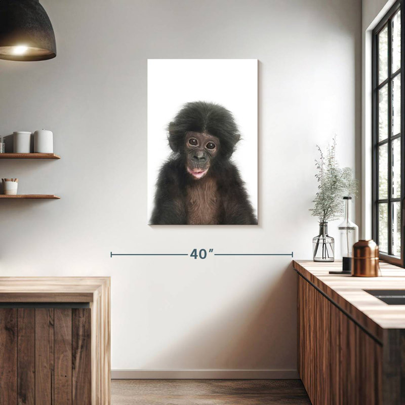 Bébé singe Brampt, H 36 po x l 24 po