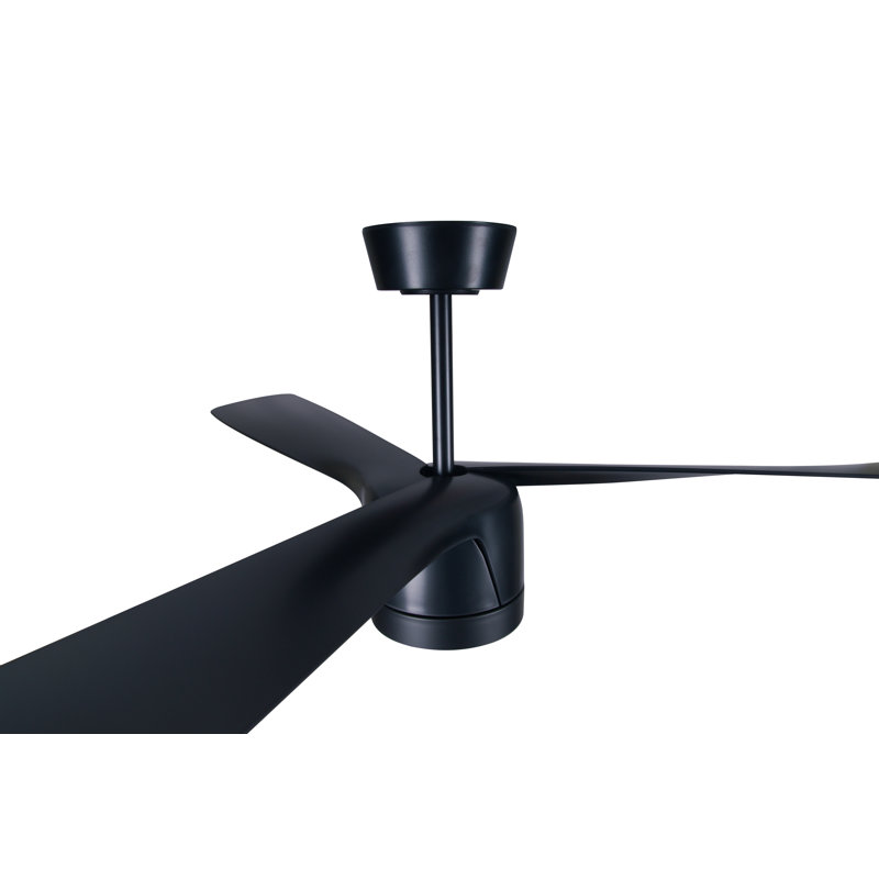 Peregrine 56in 3-Blades Indoor/Outdoor Ceiling Fan with Remote Control and Light, Black