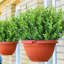 20 paquets de plantes artificielles vertes pour l'extérieur Printemps Été Décoration Résistant aux UV Faux blé Herbe Arbustes Eucalyptus Faux plantes en plastique Jardin Porche Décoration de boîte de fenêtre