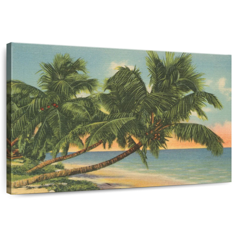 Gillard Florida, carte postale III, H 16 po x l 24 po