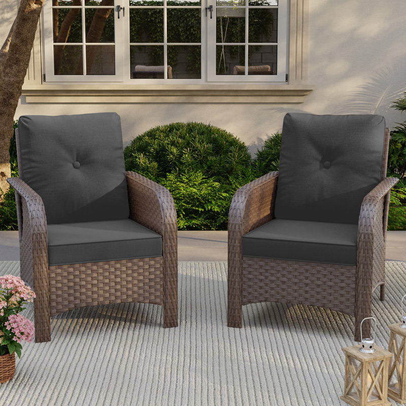 Deux chaises simples d'extérieur en rotin tissé, Gris