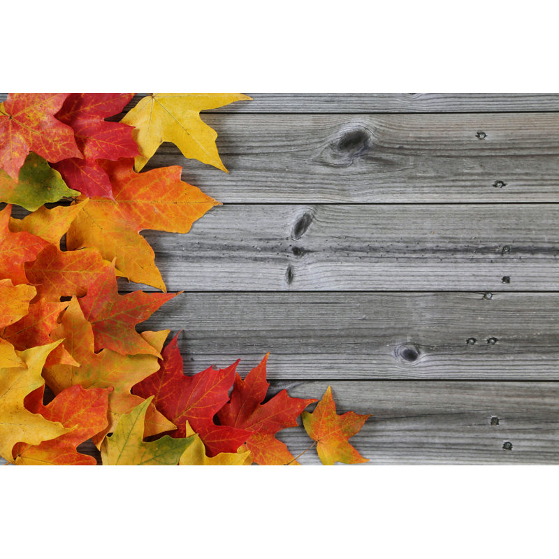 Fond d'automne par Kirin_P Photo, H 20 po x l 30 po