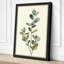 Study in Sage Botanical - Wrapped Canvas-1402834-1402847