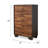 Chatrice 5-Drawer Rectangular Chest-1365208239