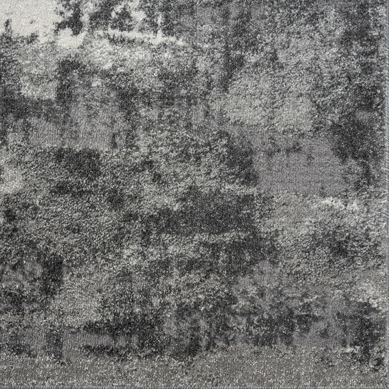 Doland Area Rug Dark Gray, Rectangle 2' x 3'