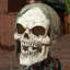 Outdoor Halloween Decoration