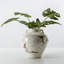 Table Vase