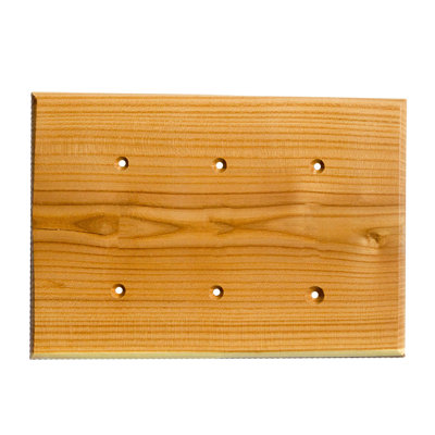 Traditional No Subject 3 - Gang Blank Wall Plate