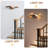Amzie 1-Light Dimmable LED Vanity Light-597051117