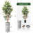 Artificial Tree in Geometric Pattern Planter Fake Bamboo Silk Tree (Plant Pot Plus Tree)-103593076