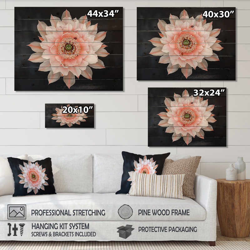 Fleur de cactus rose I, H 30 po x l 40 po