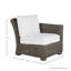 Rustic Patio Lounge Chair with Cushions-1110726824-1172305664-1172305904