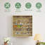 Display Cabinet-1520630358