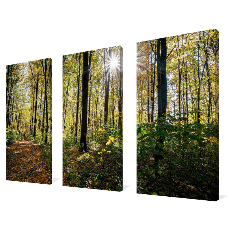 Forest Trees - Ensemble de 3 reproductions de photos sur toiles tendues, H 32 po x l 48 po x P 0,75 po