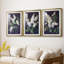 FLORAL Series CCXLIV - Impression encadrée de qualité supérieure sur mesure mat - 3 pièces-412272969-412272974