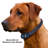 Bluefang Smartphone Controlled 5-in-1 Training Dog Collar Replacement Battery