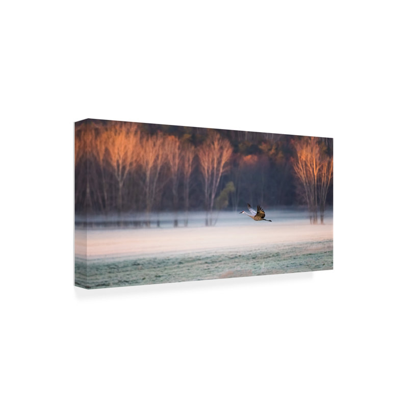 Art sur toile, "Rando Bolo Jane Luo", H 10 po x l 19 po