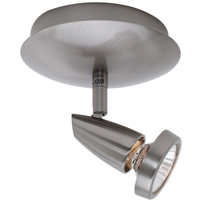 Rocheleau Outdoor Security Spot Light, Brushed Steel