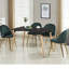 Heavener Modern Velvet Dining Chairs - Ergonomic Upholstered Curved Back with Solid Wooden Legs - Side Chair for Kitchen Living Room Dining Room-944257787-1006860832