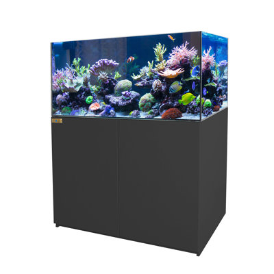 Système de récif d'aquarium en verre sans cadre Aqua Dream de 130 gallons - réservoir marin ultra transparent avec armoire en aluminium, puisard et plomberie intégrés, noir