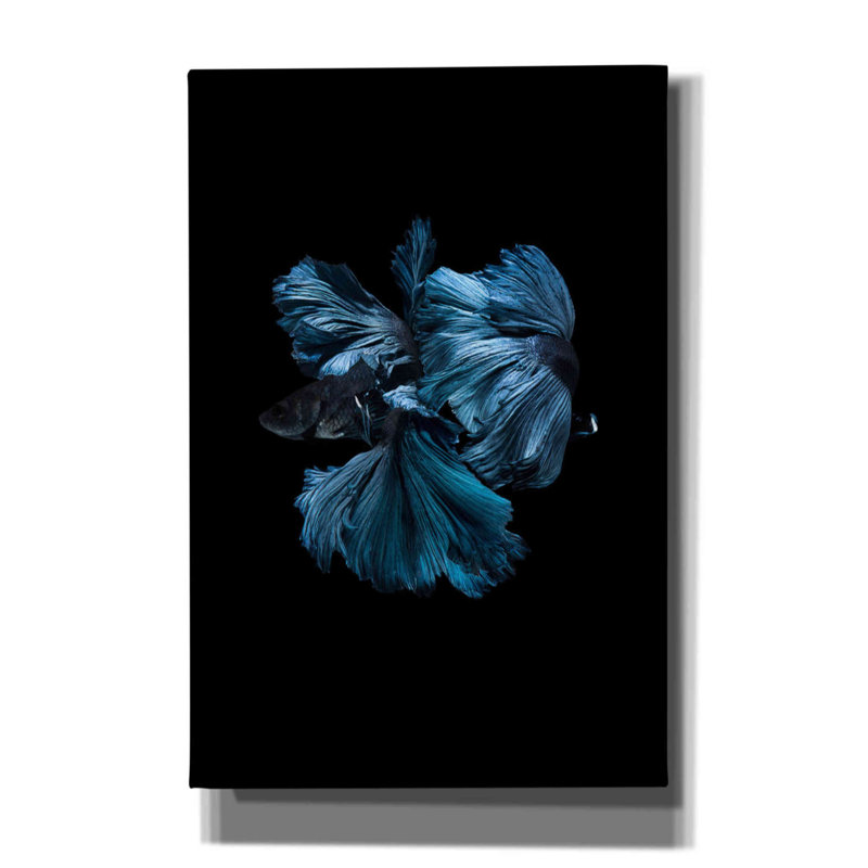 'Blue Betta' by Incado, Giclee Canvas Wall Art, 60" H x 40" W x 1.5" D