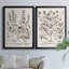 Sépia Besler Botanicals III - Ensemble de 2 reproductions de cadres photo sur toile-729651130-729651128