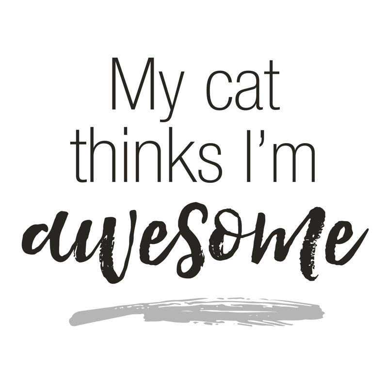 Cat Awesome - Wrapped Canvas Print, 30cm H x 30cm W x 3.8cm D