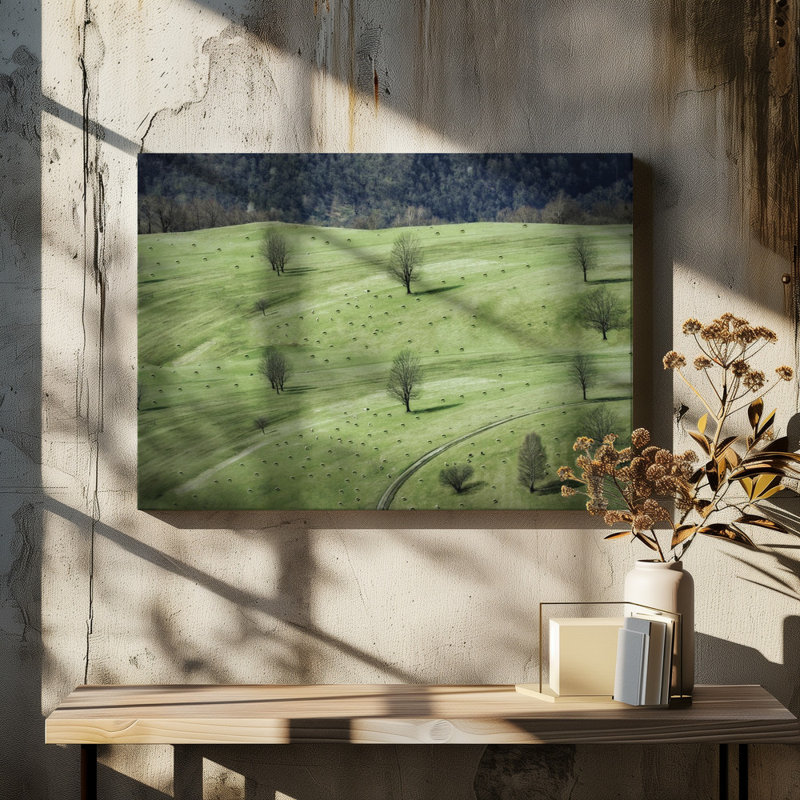 Wrapped Canvas Print, 91.44 cm H x 60.96 cm W