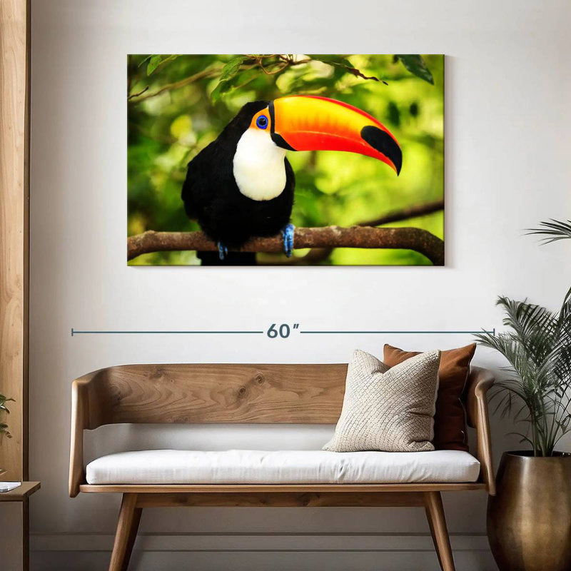 Brampt Toco Toucan