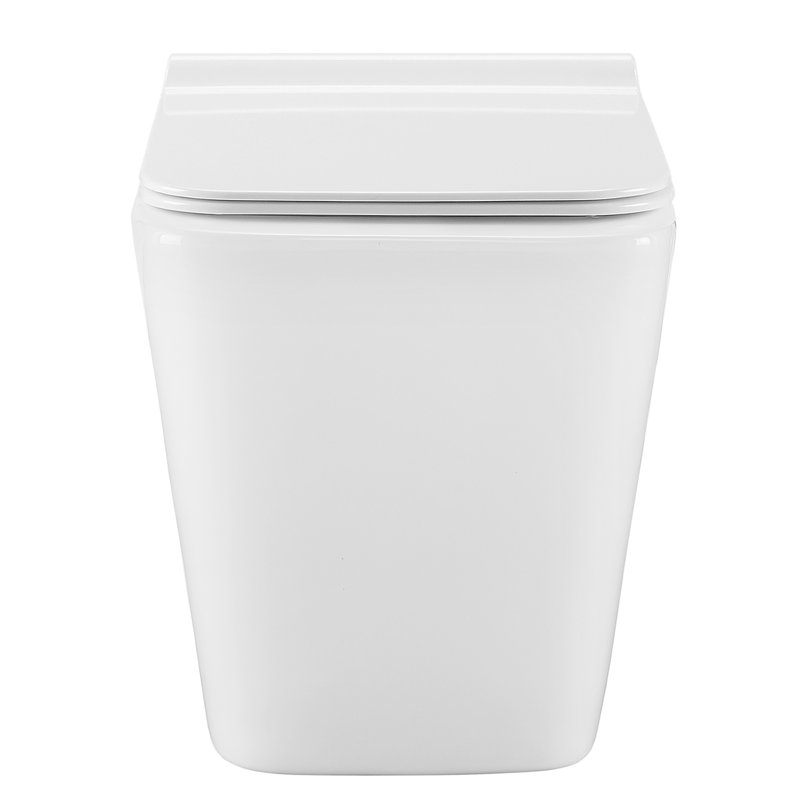 Cuvette de toilette Concorde Back-to-Wall