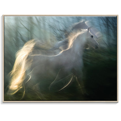 Print on Canvas