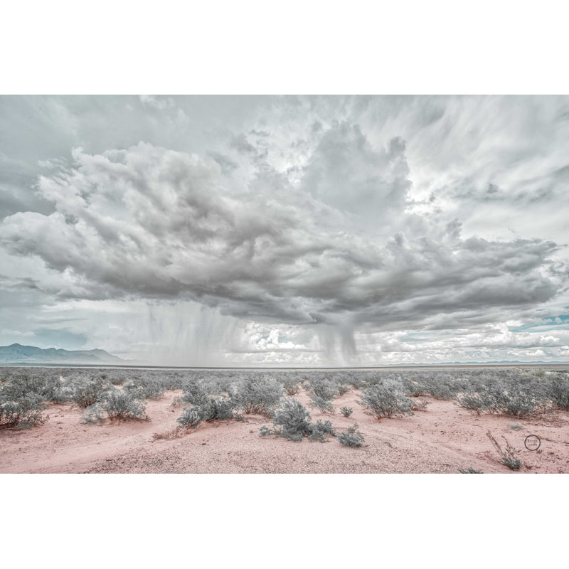«New Mexico Rain» par Nathan Larson - reproduction d'art sur toile tendue, H 12 po x l 18 po, Cadre simple noir, Oui