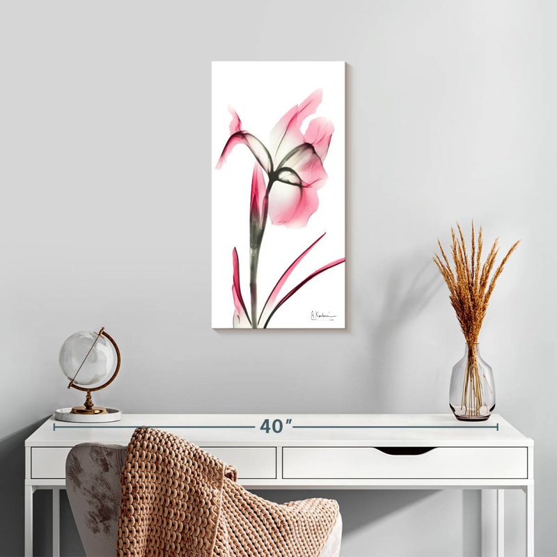 Iris rose infusé II, H 24 po x l 12 po