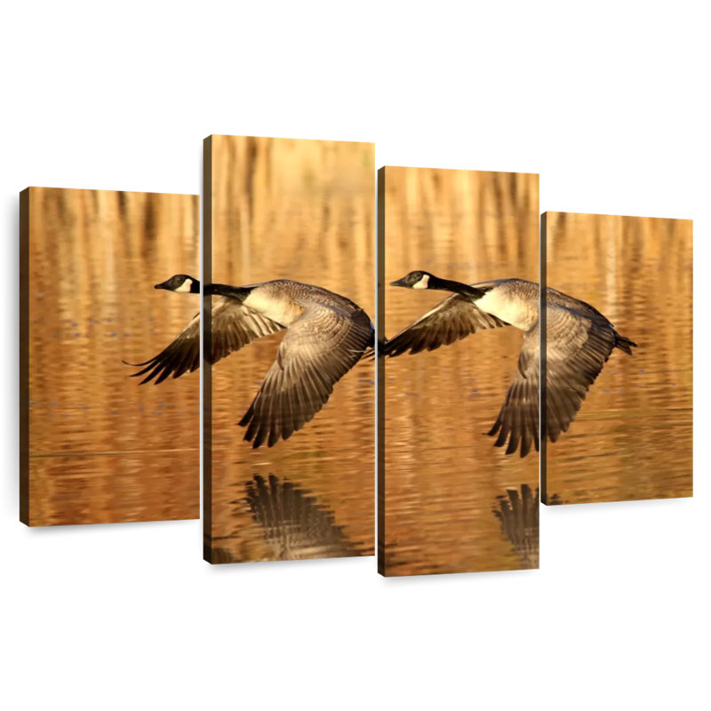Brampt Low Flying Geese