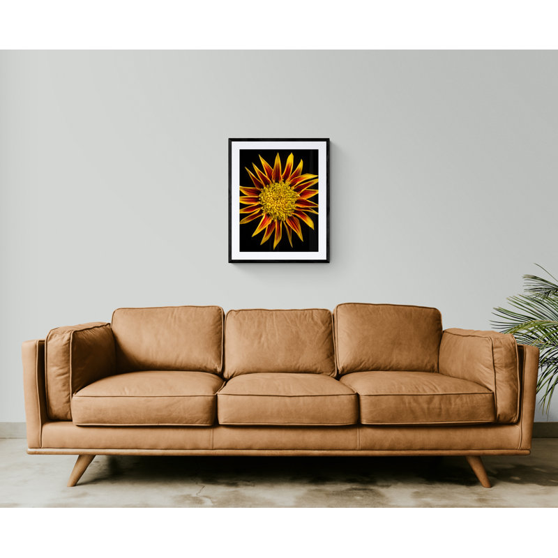 Gazania Print by Harold Davis, Wrapped Canvas, 32" H x 24" W