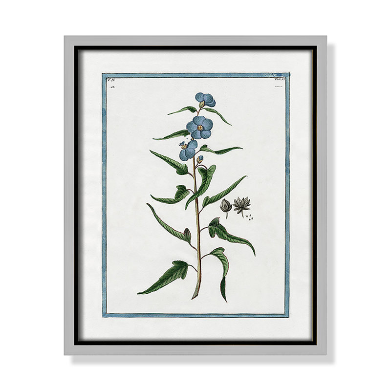 «Shabby Soft Shabby Elegance Botanical I» par Kelly Donovan, reproduction sur toile flottante, H 11,5 po x l 9,5 po x P 2 po