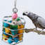 Cage à oiseaux suspendue en acier inoxydable pour intérieur et extérieur