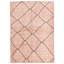 Tapis rose Mosser