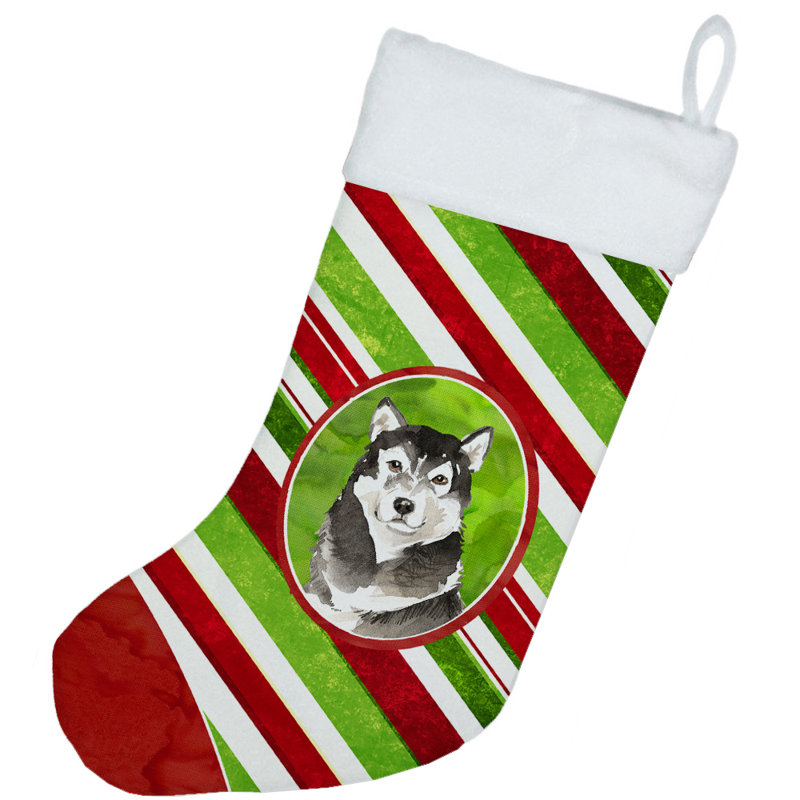Chaussette de noël à rayures à sucre, Malamute d’Alaska