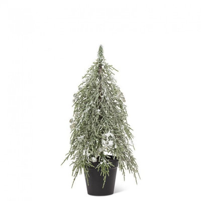 Small Falling Branch Tree With Pods