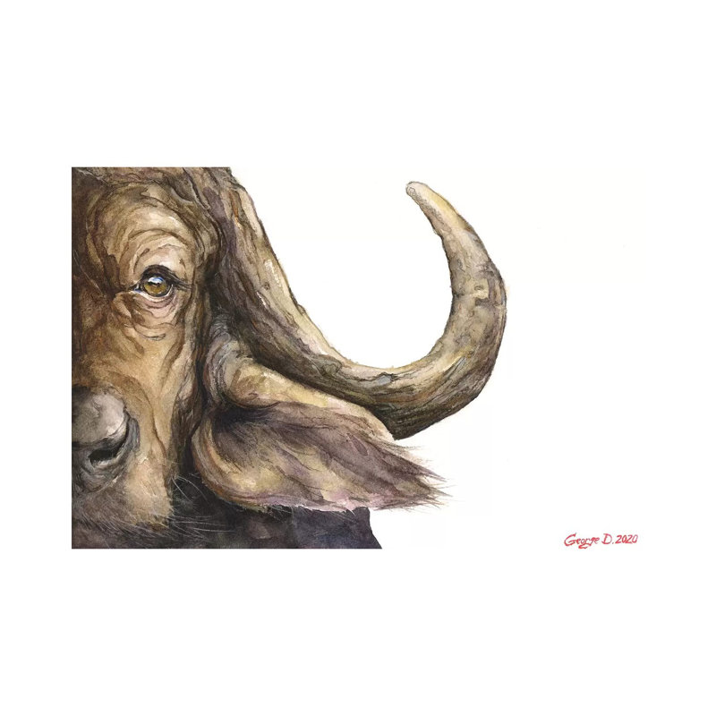 Cape Buffalo by George Dyachenko - Painting on Canvas, Wrapped Canvas, 20.32cm H x 30.48cm W x 1.91cm D