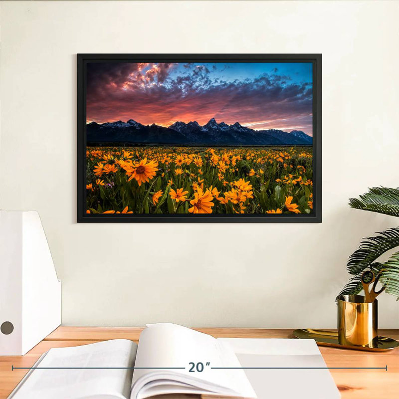 Grand Teton Wildflowers, Cadre flottant noir, 13 po x 9 po