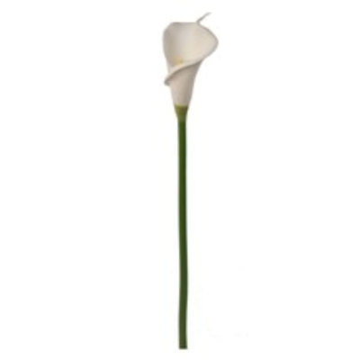 21" Millet Grass Bush- 3 Pack