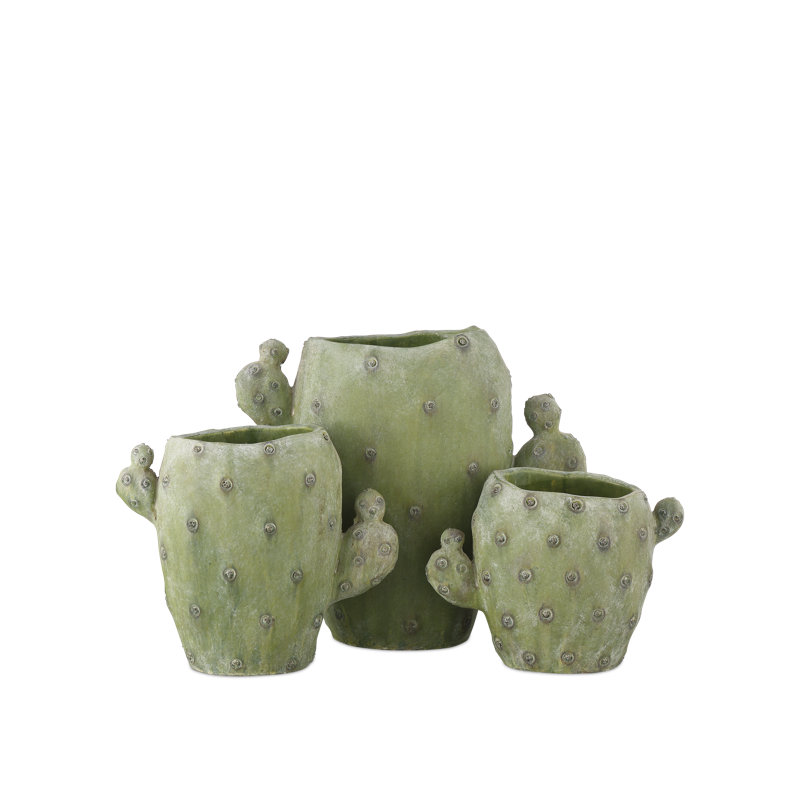 Ensemble de 3 vases en cactus
