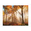 No Frame Print on Canvas-1626906356