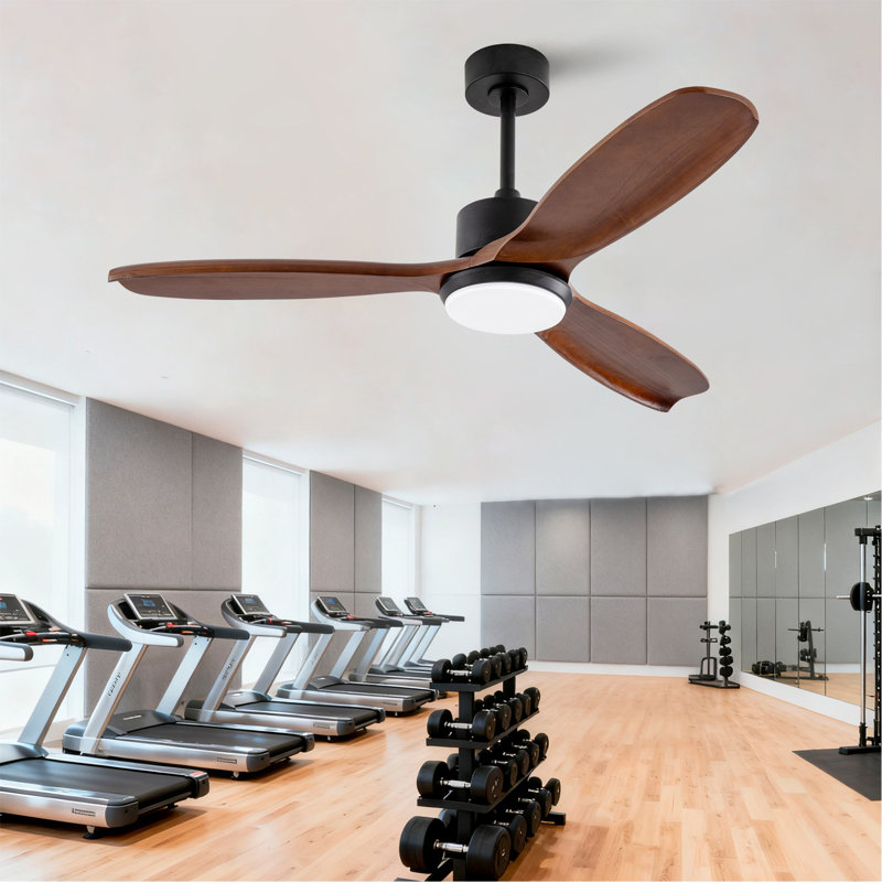 Ventilateur de plafond en bois 52 po avec lumières, télécommande, ventilateur de plafond silencieux à 3 pales pour patio, salon, chambre à coucher, bureau, intérieur extérieur (noir et noyer foncé)