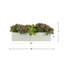Succulents and Sedum Arranged in Fiberstone Planter