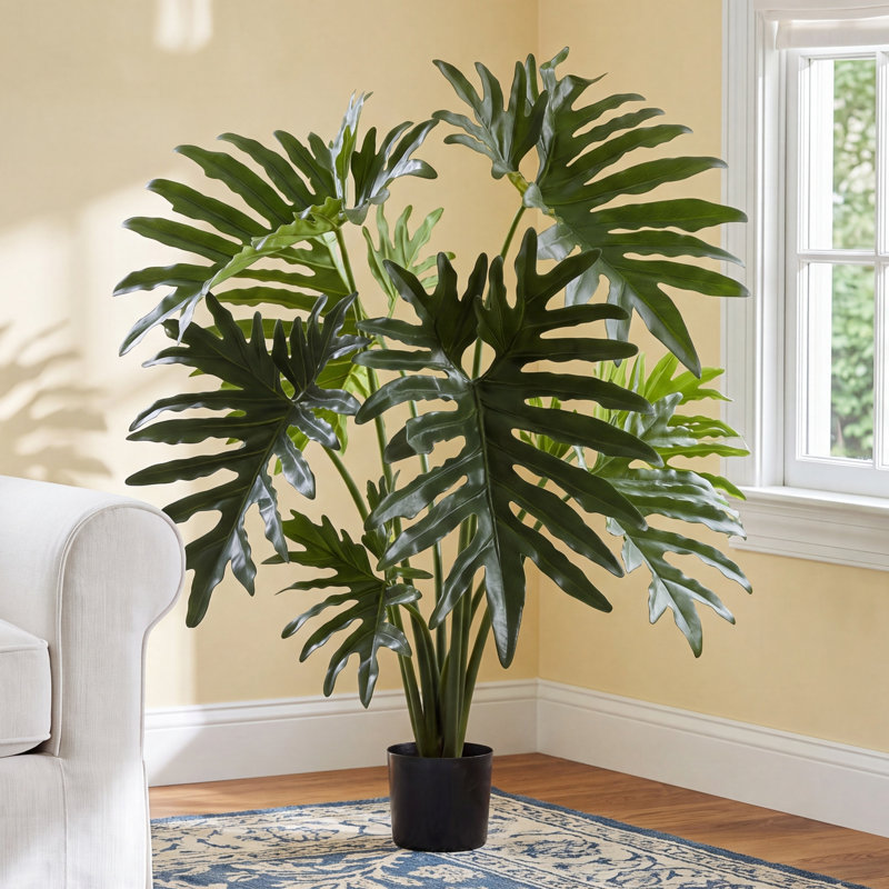 Weatherhill Elspeth Philodendron Plant