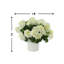 UV Protected Geranium Arrangement-2871870-2871871