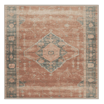 Machine Washable Overdyed Brown Area Rug